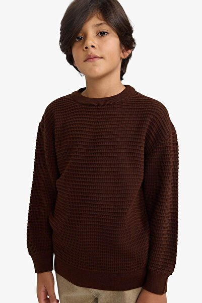 DeFacto Brown Men's Sweater G4608A8/Bn340