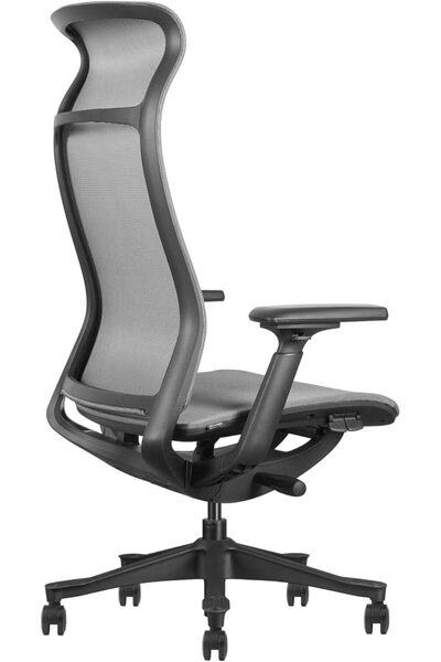 prowork Gio Ergonomic Office Chair, Breathable Mesh, 3-Lock Recline, Adjustable Height (Grey)