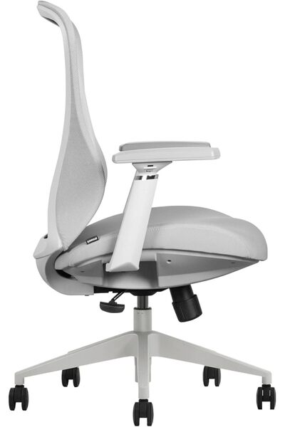 prowork Aria Ergonomic Mid-back Office Chair, Adjustable Lumbar, Neck Support, 3D Armrests (Grey)