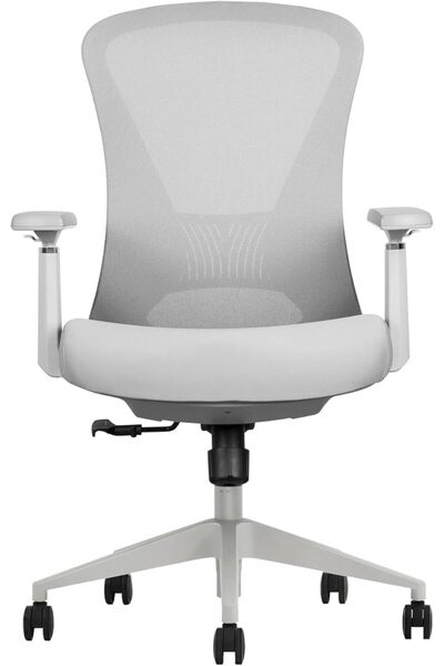 prowork Aria Ergonomic Mid-back Office Chair, Adjustable Lumbar, Neck Support, 3D Armrests (Grey)