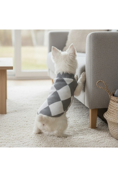 OEM Κομψό πλεκτό πουλόβερ για μικρά και μεσαία κατοικίδια, XINA2307