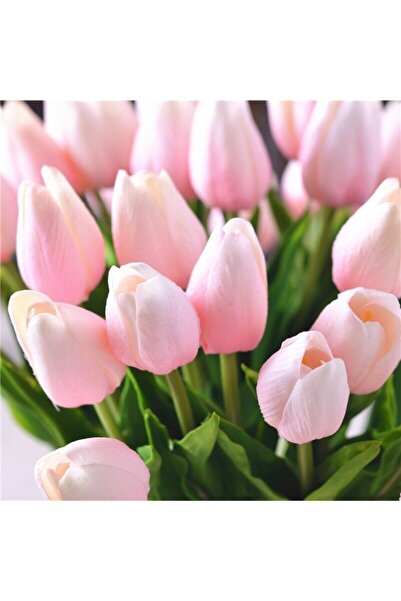 LOBELYA TOHUMCULUK 5 Adet Soft Pembe Renkli Lale Çiçek Soğanı