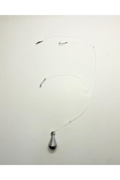 FİSH MASTER Kıyı 2'li Hırsızlı Dip Takımı 40gr (3 Adet )