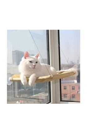 cama yapışan kedi yatağı