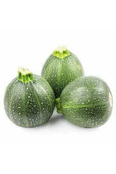 Köy Tohumları 30 Adet Tohum Süper Paket Dolmalık Nadir Topak Kabak Tohumu Yuv...