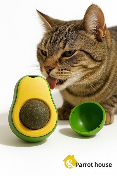 Papağanhane حجر لعق عشبة القطط على شكل الأفوكادو - كرة دوارة من الكاتنيب، لعب...