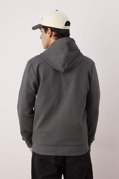 Trendyol Collection Anthracite Regular/Normal Cut Zippered Hooded Textured Sweatshirt Tmnaw26Sw00067