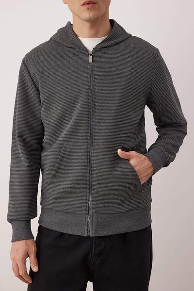 Trendyol Collection Anthracite Regular/Normal Cut Zippered Hooded Textured Sweatshirt Tmnaw26Sw00067