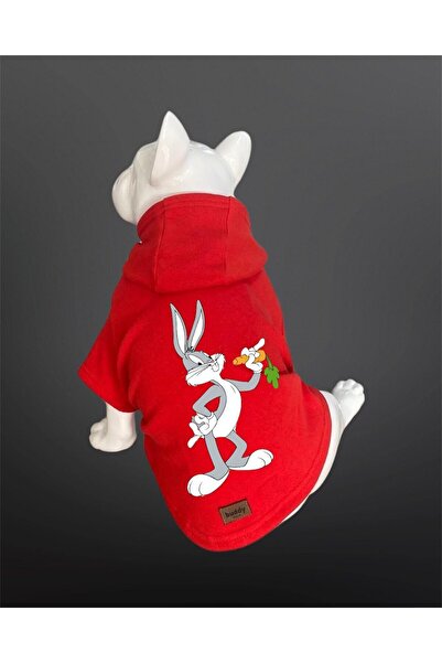 Buddy Store ملابس القطط والكلاب، ملابس، سويت شيرت - سويت شيرت أحمر مطبوع عليه...