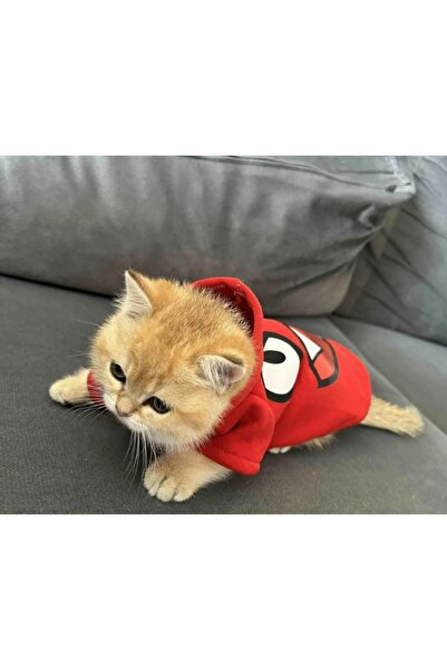 Buddy Store سويت شيرت مطبوع عليه وجه غاضب باللون الأحمر - مقاس L