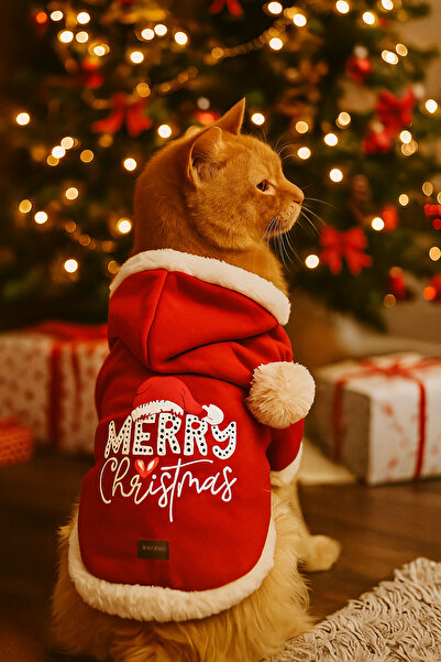 Buddy Store New Year's Medium Outfit Dress - for Cats and Dogs