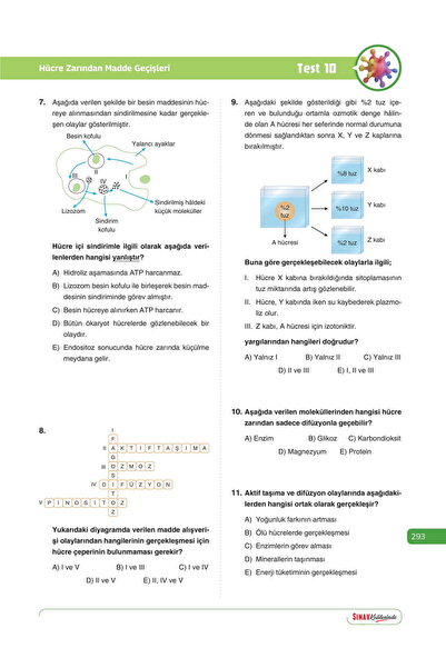 Sınav Yayınları Sınav Yayınları 9. Sınıf Tüm Dersler Konu Anlatımı ve Soru Bankası Kitap Seti