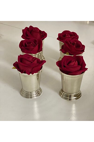 Elzemm store 6 قطع من الورود المطلية بالفضة بما في ذلك الورود المخملية باللون الأحمر