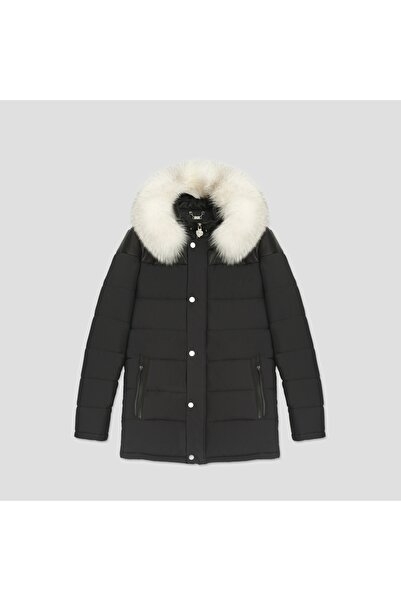 Giovane Gentile Deri Mont Kaban