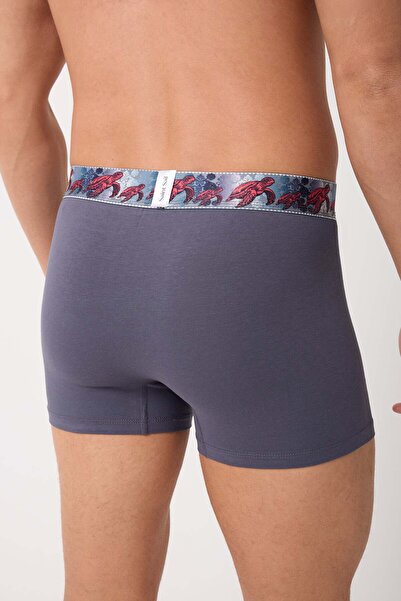 Saint Sail Cotton Lycra Stretch Fabric Printed Colorful Turtle Pattern Men's Boxer