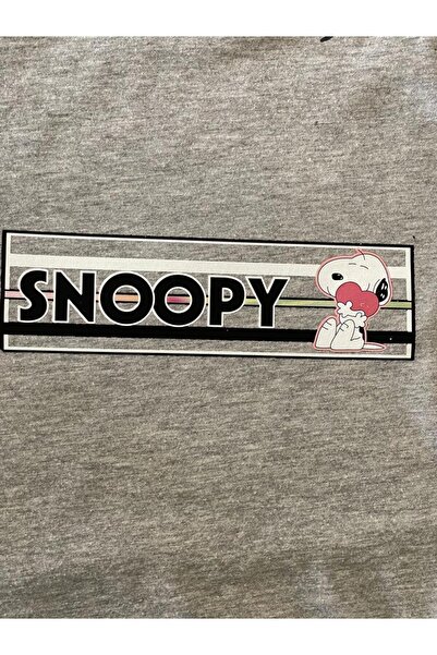 Gönülden Tasarım 18x5 cm Atașare cu fier de călcat Snopy Transfer Imprimare Applique Crest Patch Cusut Hobby