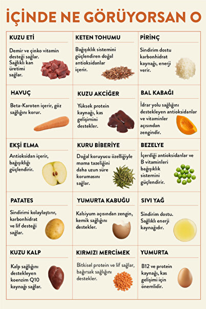 kito Fresh Kuzu Etli Taze Köpek Yemeği 250 gr (%100 TAZE IÇERİKLİ MAMA)