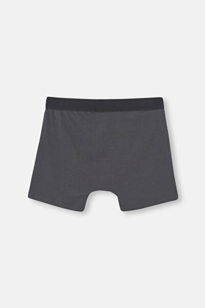 Dagi Anthracite Sports Cotton Boxer