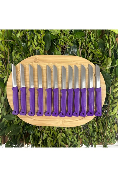 Solingen Mat Delikli Meyve Bıçağı 12’li (Mor)