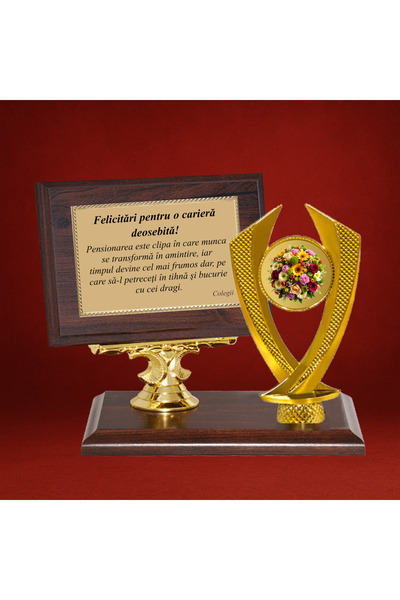 C&A Connection Cadou Trofeu Pensionare pentru EA