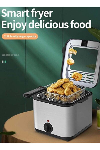 Bukela 2.5L Electric Deep Fryer, 1000W, Stainless Steel with Removable Basket