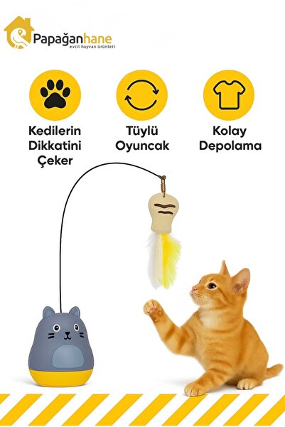 Papağanhane Kediler İçin Yapışkan Tabanlı Tüylü Oyun Oltası | Eğlenceli Harek...