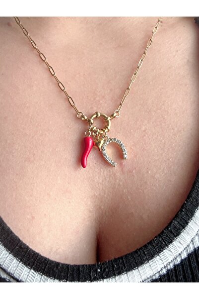 Gümüş sandık Şans, Bereket, Aşk Kolyesi, Biber, Kalp ve At Nalı Charm Çelik K...