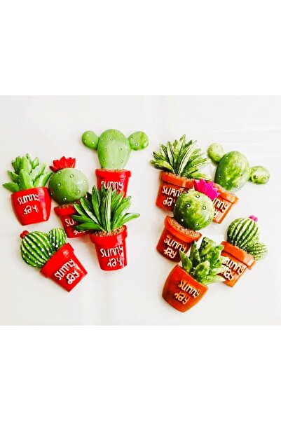 morlalem m Kaktüs Seti 5 Parça Saksı Aplik Magnet Silikon Kalıp K-104, Kokulu...