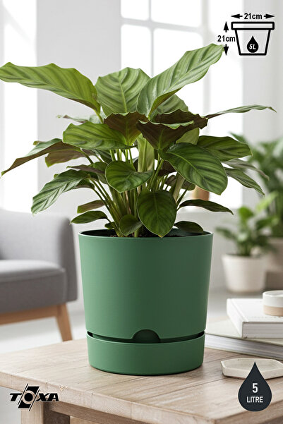 ToXA 5 Litre Yeşil Begonya Saksı Tabaklı Dekoratif Mat Plastik Saksı