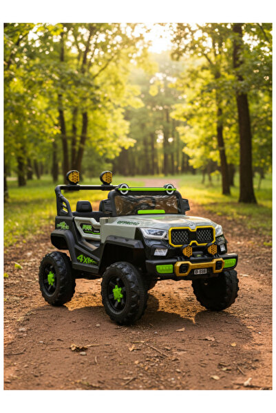 CAR Electric 4WD With 2Motors & 2Battery, RC 29-F684-GREY