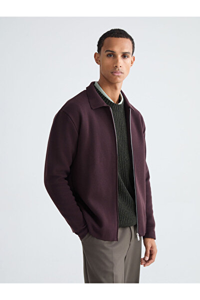 LC Waikiki Vizyon New Season Polo Neck Men's Knitwear Cardigan