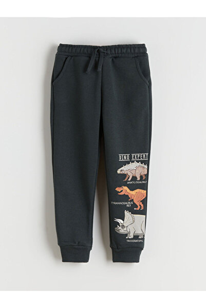 LC Waikiki Lcw Kids Dinosaur Printed Boys' Sweatshirt and Sweatpants