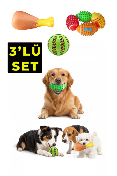 rianka Köpek Sesli Tavuk Butu Mama Hazneli Eğitim Kedi Köpek Oyuncağı Isırma Diş Kaşıma Topu Seti