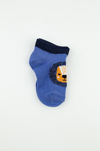 Bross 3lü Fanimal Erkek Bebek Patik Çorap