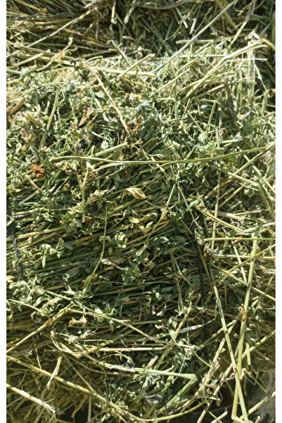 Güven Yem Yonca Kuru Kemirgen Otu 2 kg Bol Çiçekli.