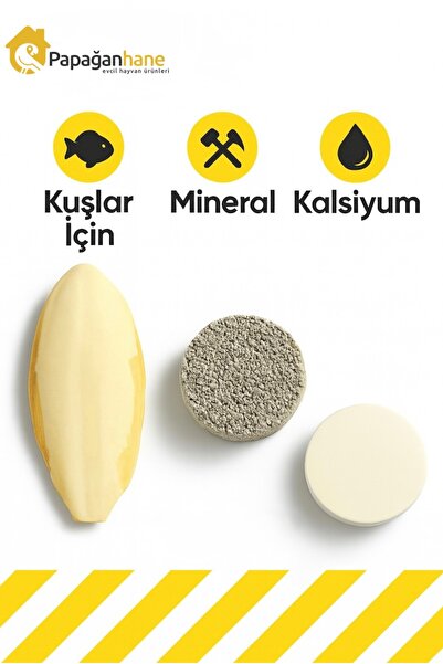 Papağanhane Kuş Temel İhtiyaç Seti 3’lü | Kalamar Kemiği, Mineral Blok, Kalsiyum Taşı