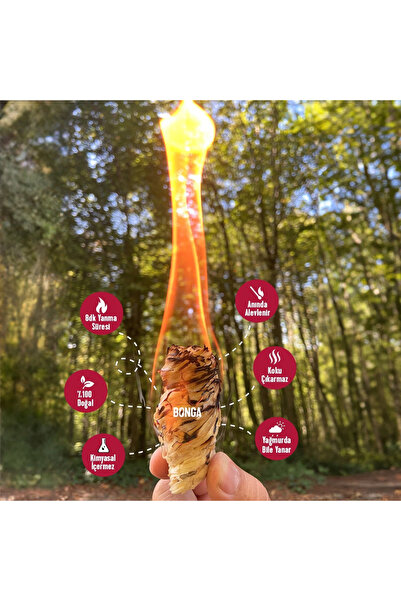 BONGA Ateş Tutuşturucu Şömine & Mangal 25 Adet 350 gr - Jel Ve Çıra Alternatifi Doğal Odun Yünü