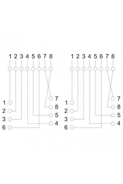 OEM Double wall socket 8P8C UTP Cat5 2x RJ45