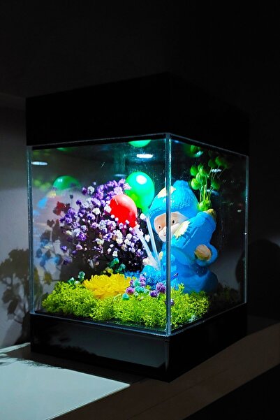 çiçekseli Led Venüs Moss Teraryum Yeni Doğan Hoş Geldin Erkek Bebek Hediyesi&...