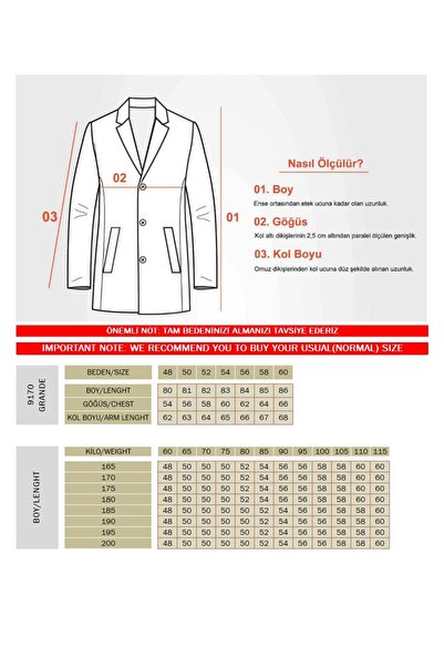 Frappoli Grande Men's Navy Blue Jacket Collar Slim Fit Cashmere Coat