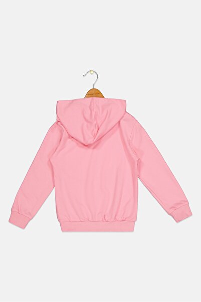 Disney Toddlers Girl Long Sleeve Lilo And Stitch Hooded Sweatshirt, Pink