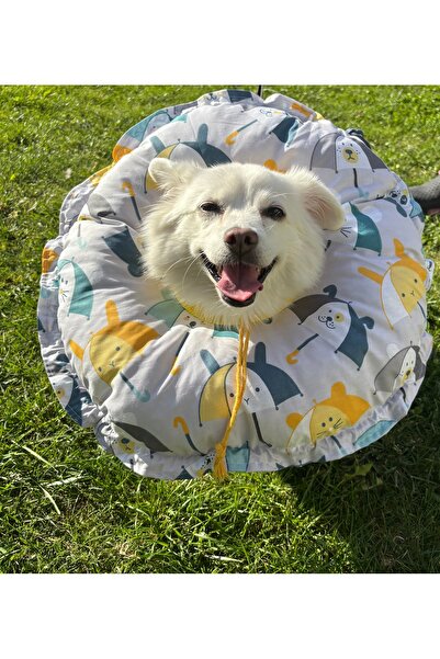 Petris طوق الرقبة لعملية قمع القطط والكلاب، طوق، وسادة، إليزابيث (قطر الحافة ...