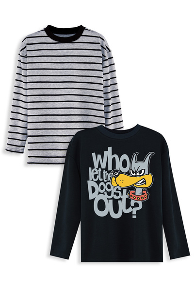 Denokids Boy's 2 Pack T-Shirt