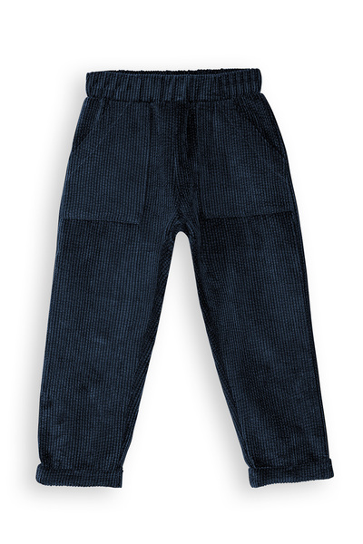Denokids Corduroy Navy Blue Boy's Trousers