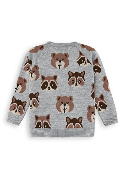 Denokids Bear Raccoon Boy's Gray Knitwear Sweater