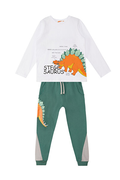 Denokids Stegosaurus Boy's Long Sleeve T-Shirt Pants Set