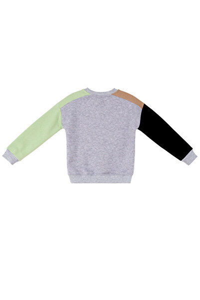 Denokids Boy's Colorful Sweatshirt - Raccoon and Bear Pattern