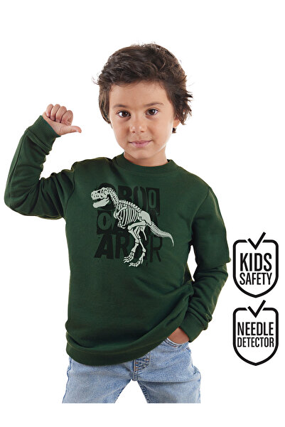 Denokids Boy's Khaki Roarr Dino Sweatshirt