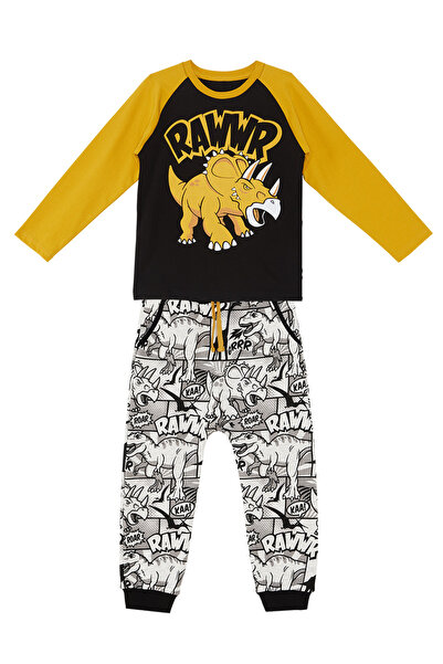 MSHB&G Boys Rawr T-Shirt and Sweatpants Set