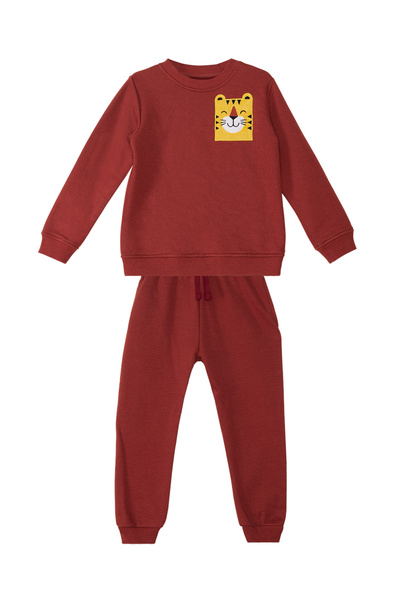 Denokids Tiger Boy Tracksuit Set - Comfortable Design